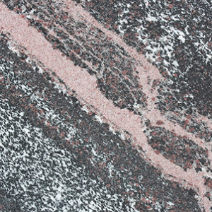 granatovyj-amfibolit